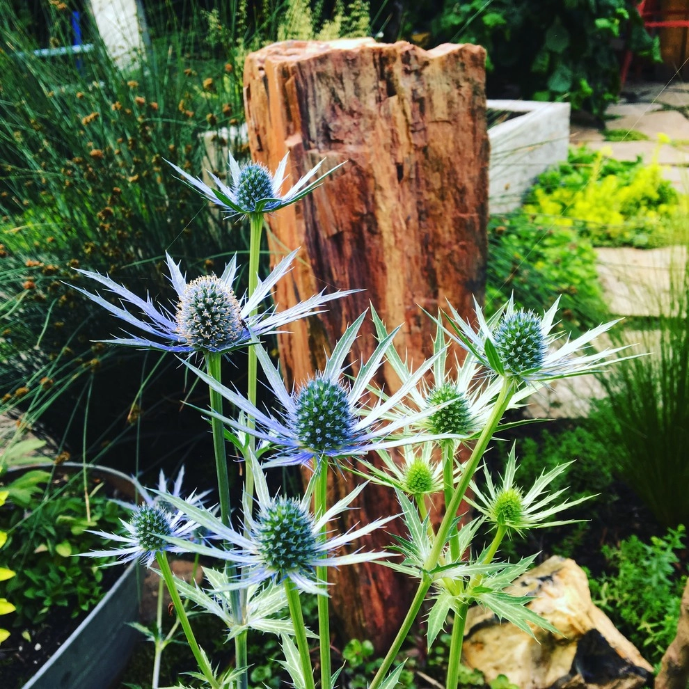 St Johns - The Alma Ave by Wheel & Barrow Landscape Design & Maintenance - Photo 9