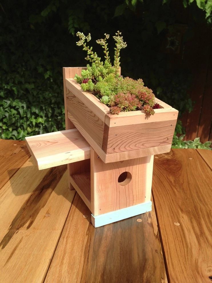 Green Roof Birdhouse by Wheel & Barrow Landscape Design & Maintenance - Photo 2