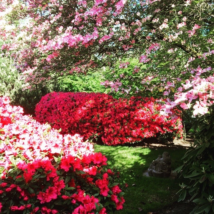 Gardens Maintained by Wheel & Barrow Landscape by Wheel & Barrow Landscape Design & Maintenance - Photo 10