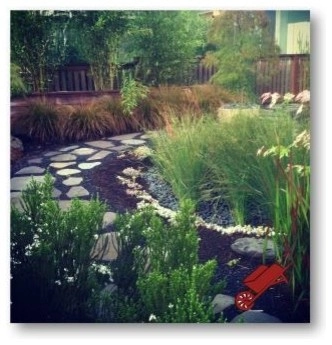 Rain Gardens by Wheel & Barrow Landscape Design & Maintenance - Photo 6