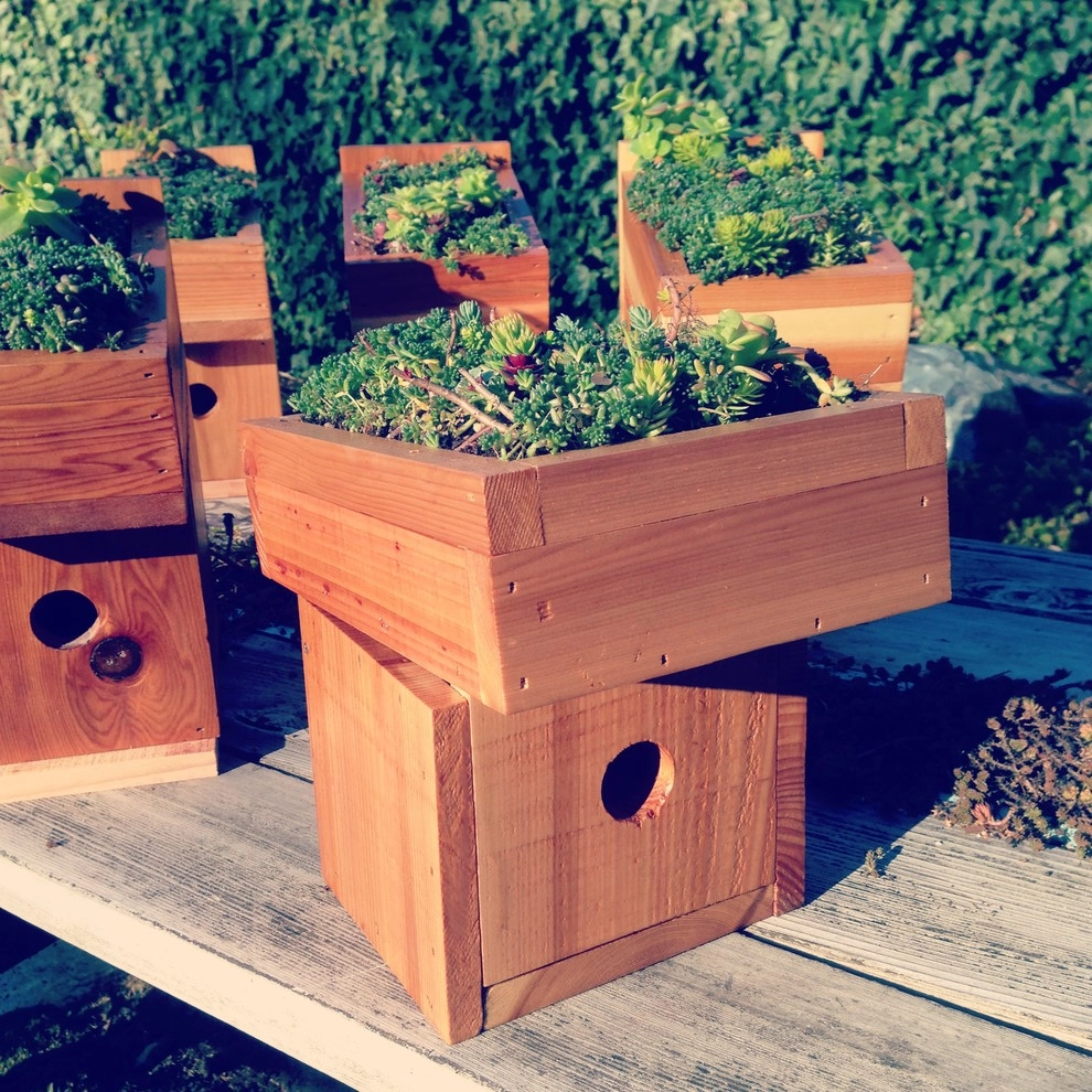 Green Roof Birdhouse by Wheel & Barrow Landscape Design & Maintenance - Photo 9