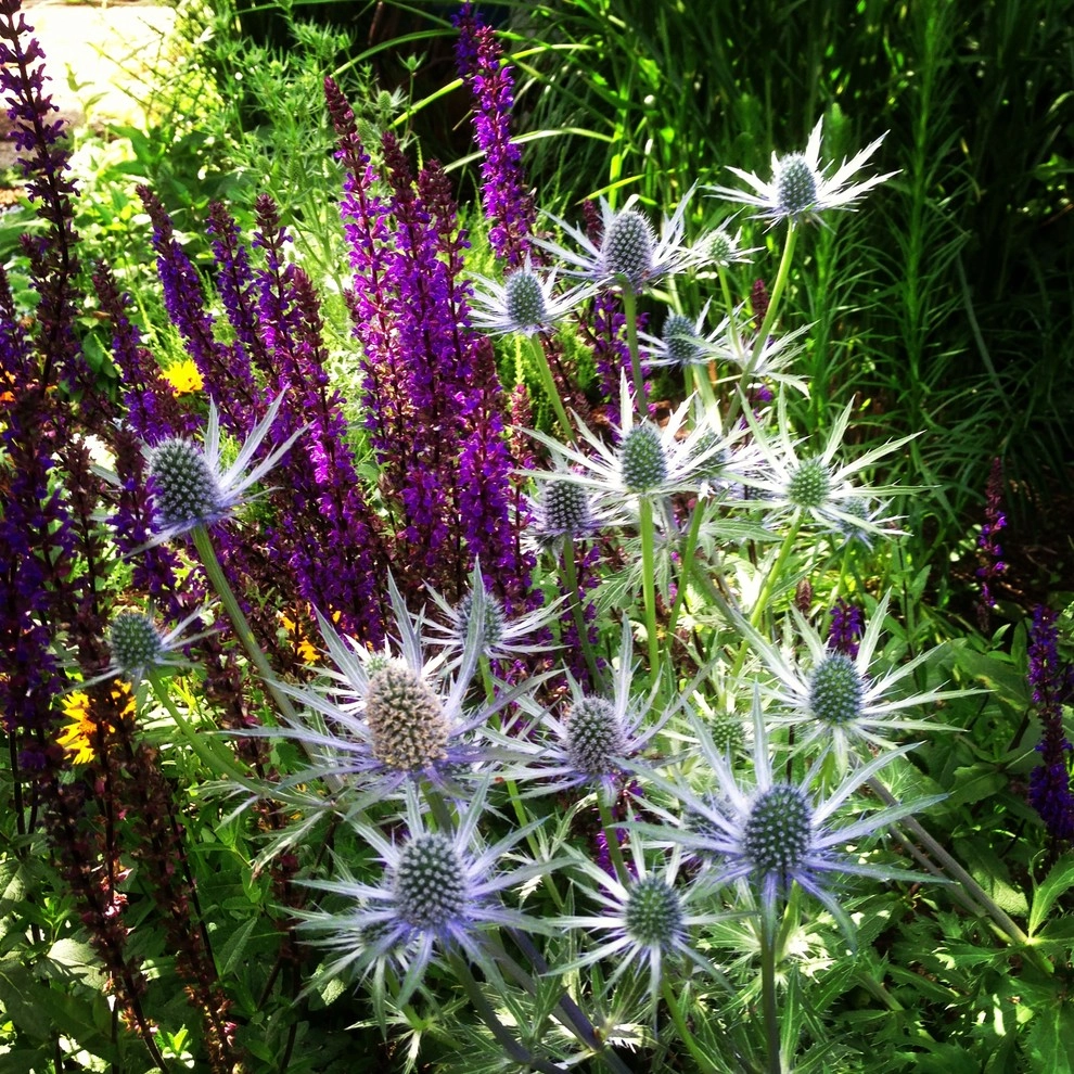 Perennial Gardens by Wheel & Barrow Landscape Design & Maintenance - Photo 9