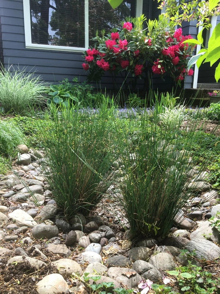 NE Portland Hidden Garden by Wheel & Barrow Landscape Design & Maintenance - Photo 10