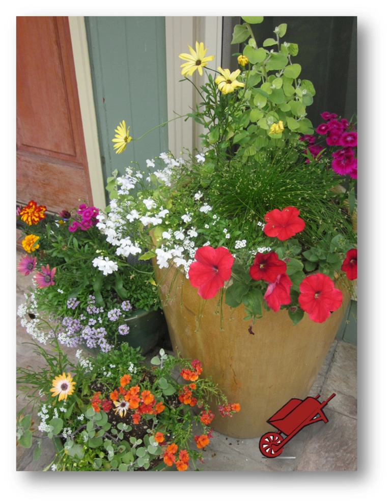 Container Gardens by Wheel & Barrow Landscape Design & Maintenance - Photo 3