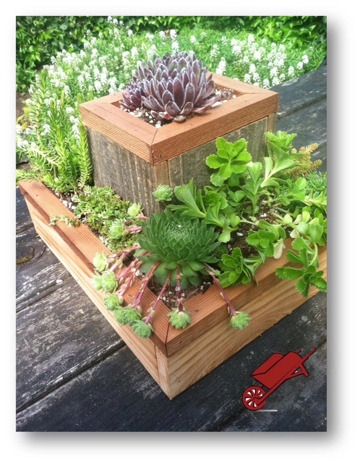 Wheel & Barrow Landscape Design & Maintenance - Photo 2