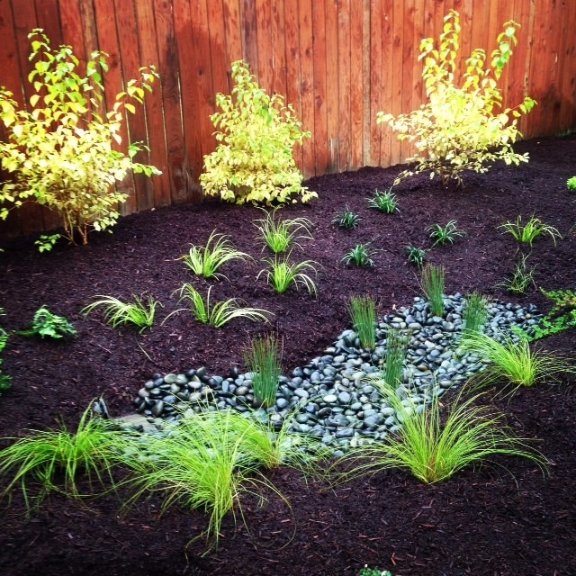 Rain Gardens by Wheel & Barrow Landscape Design & Maintenance - Photo 4