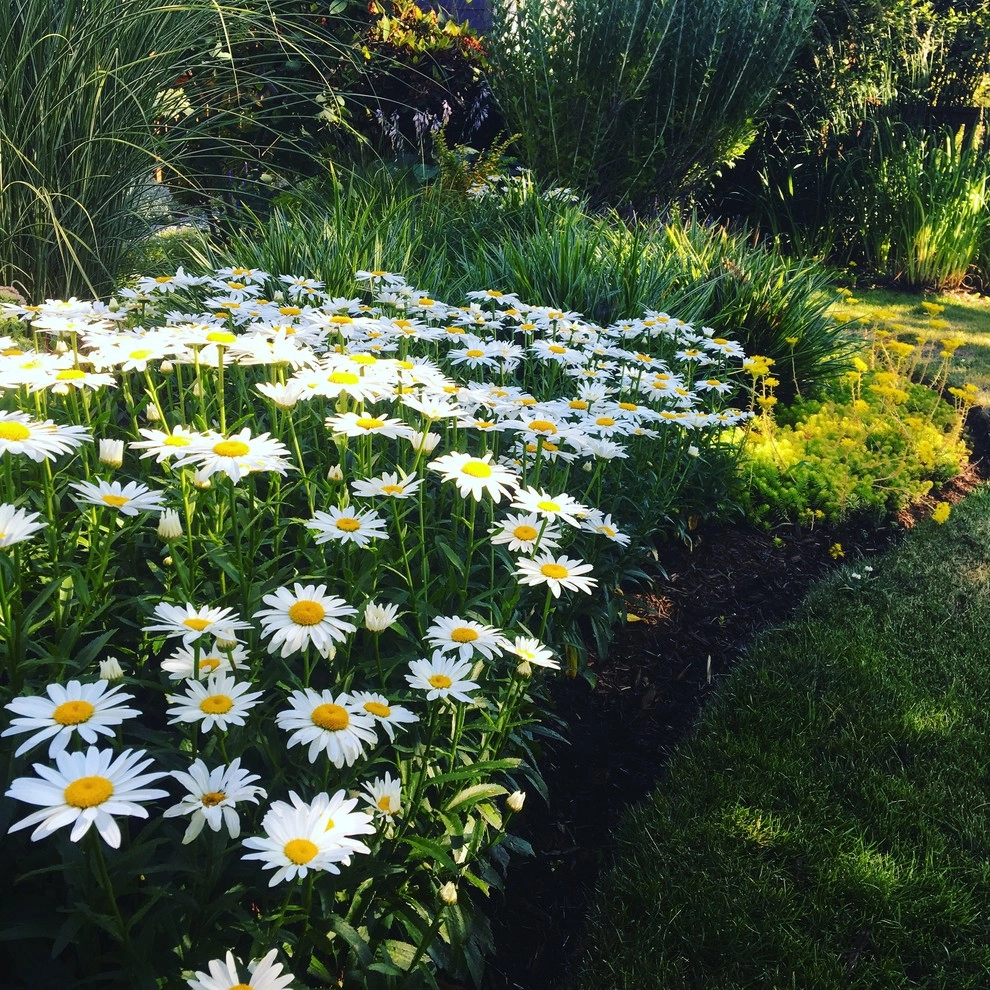 St Johns - The Alma Ave by Wheel & Barrow Landscape Design & Maintenance - Photo 23