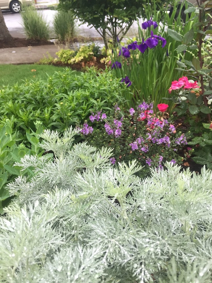 St Johns - The Alma Ave by Wheel & Barrow Landscape Design & Maintenance - Photo 13