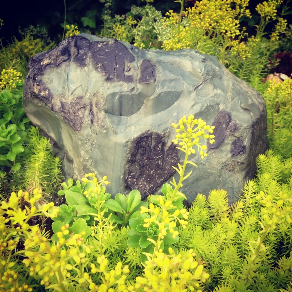 St Johns - The Alma Ave by Wheel & Barrow Landscape Design & Maintenance - Photo 25
