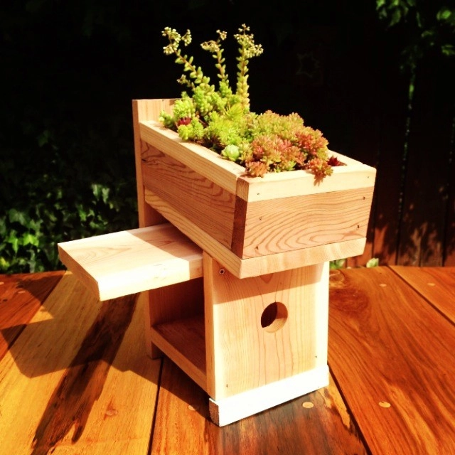 Green Roof Birdhouse by Wheel & Barrow Landscape Design & Maintenance - Photo 4