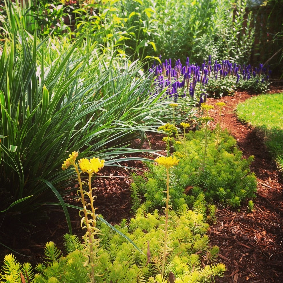 Perennial Gardens by Wheel & Barrow Landscape Design & Maintenance - Photo 5