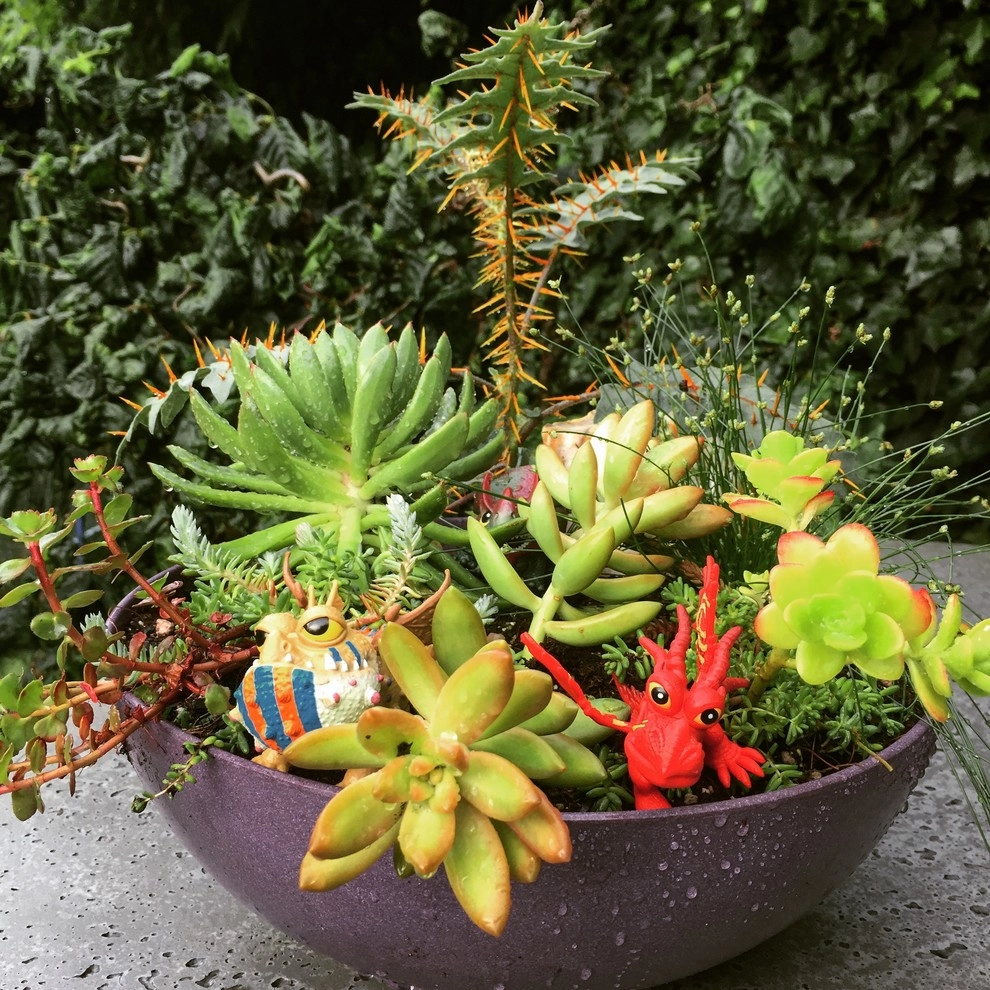 Container Gardens by Wheel & Barrow Landscape Design & Maintenance - Photo 4