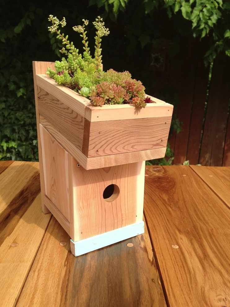 Green Roof Birdhouse by Wheel & Barrow Landscape Design & Maintenance - Photo 5
