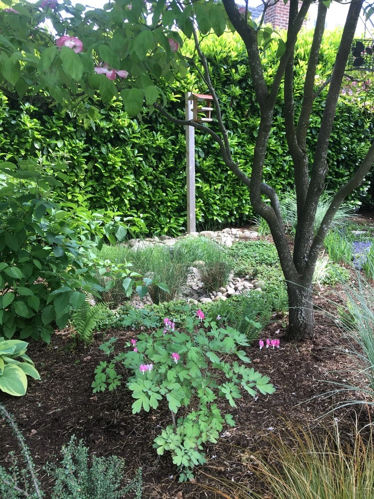 NE Portland Hidden Garden by Wheel & Barrow Landscape Design & Maintenance - Photo 4