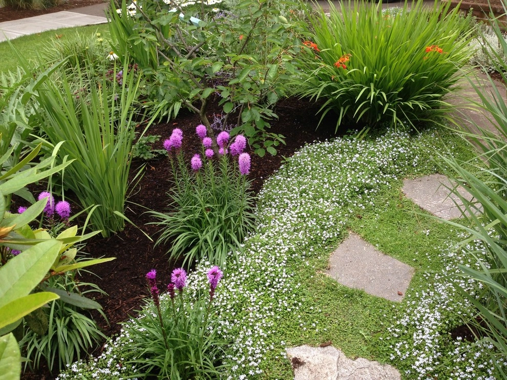 St Johns - The Alma Ave by Wheel & Barrow Landscape Design & Maintenance - Photo 4