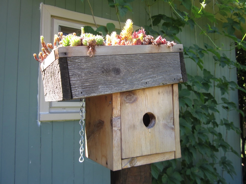 Green Roof Birdhouse by Wheel & Barrow Landscape Design & Maintenance - Photo 6