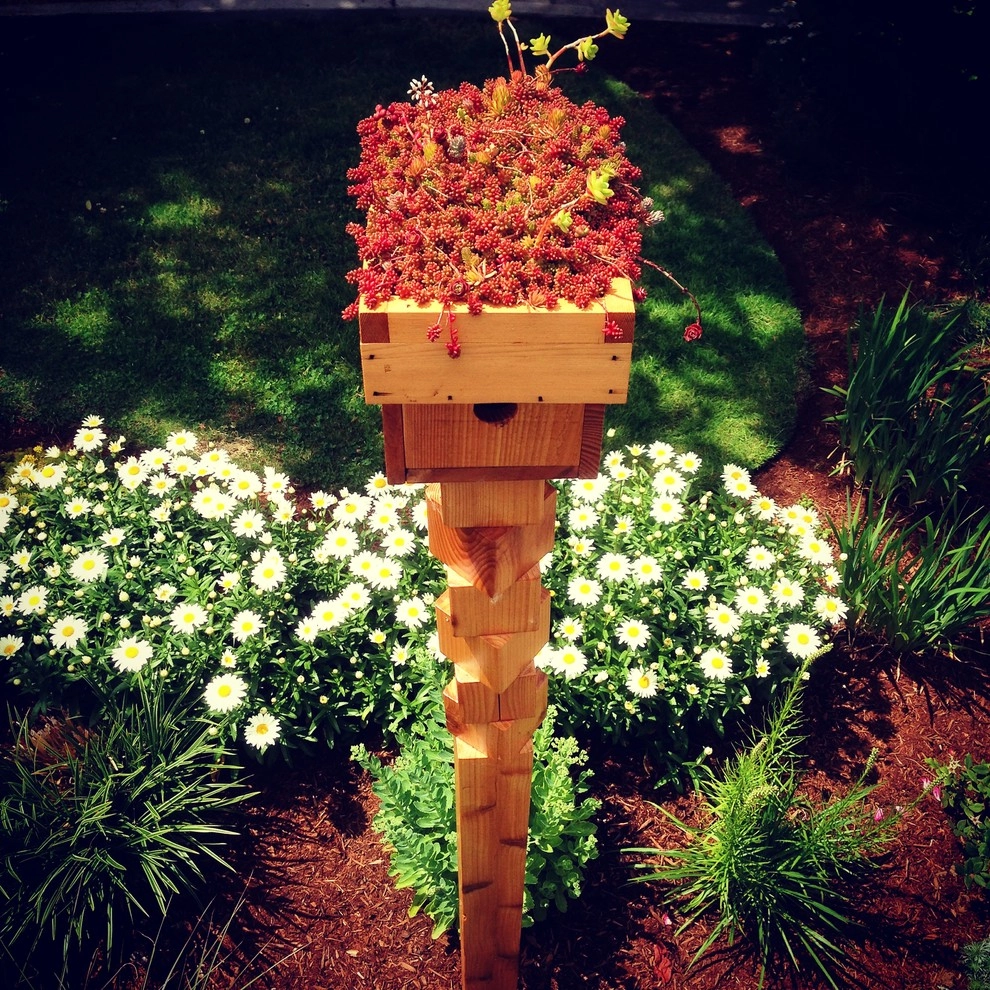 Green Roof Birdhouse by Wheel & Barrow Landscape Design & Maintenance - Photo 3
