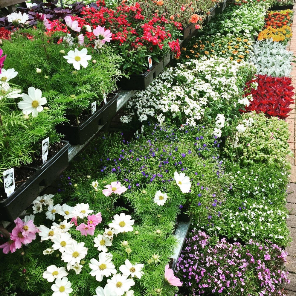 Containers and ideas by Whispering Hills Garden & Landscape Design Center - Photo 15