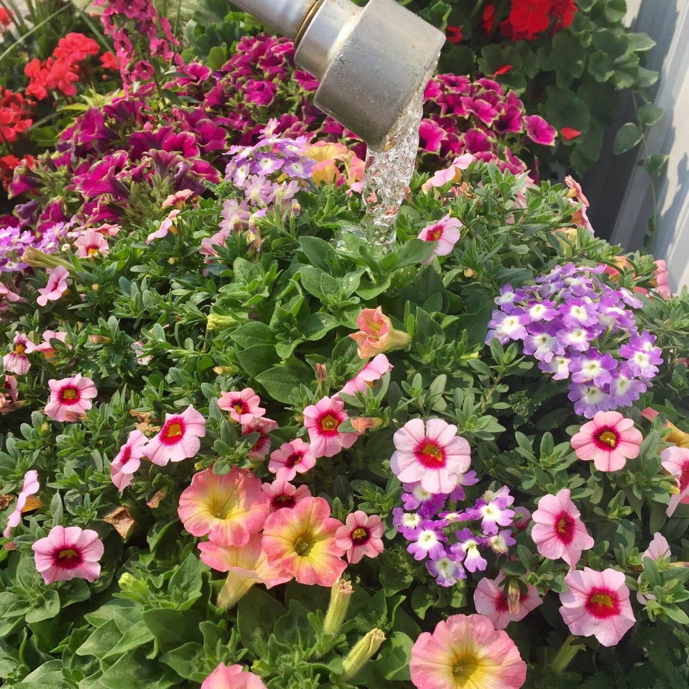 Containers and ideas by Whispering Hills Garden & Landscape Design Center - Photo 21