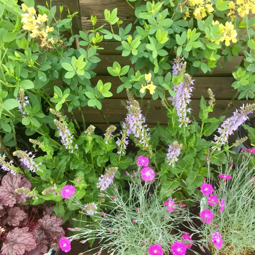 Whispering Hills Garden & Landscape Design Center - Photo 11