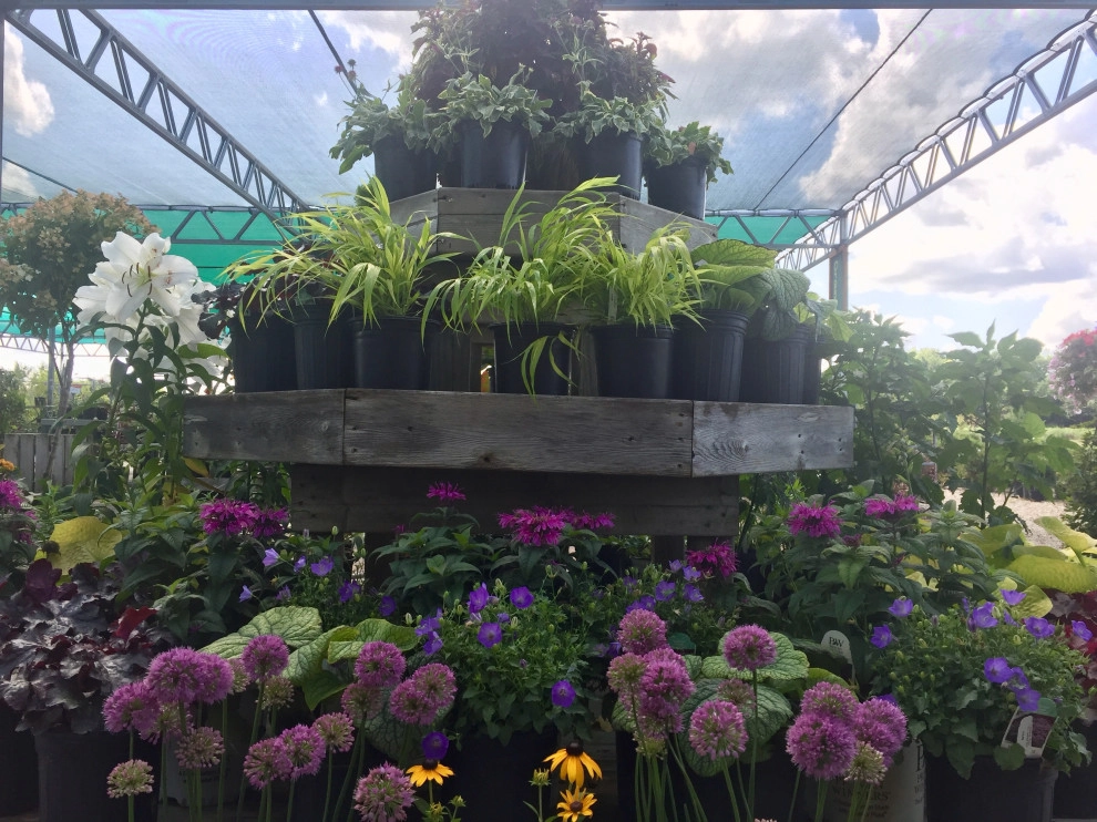 Containers and ideas by Whispering Hills Garden & Landscape Design Center - Photo 12