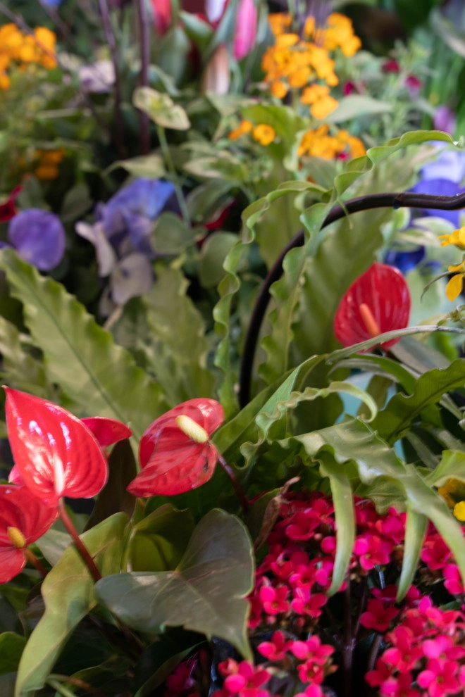 Containers and ideas by Whispering Hills Garden & Landscape Design Center - Photo 16