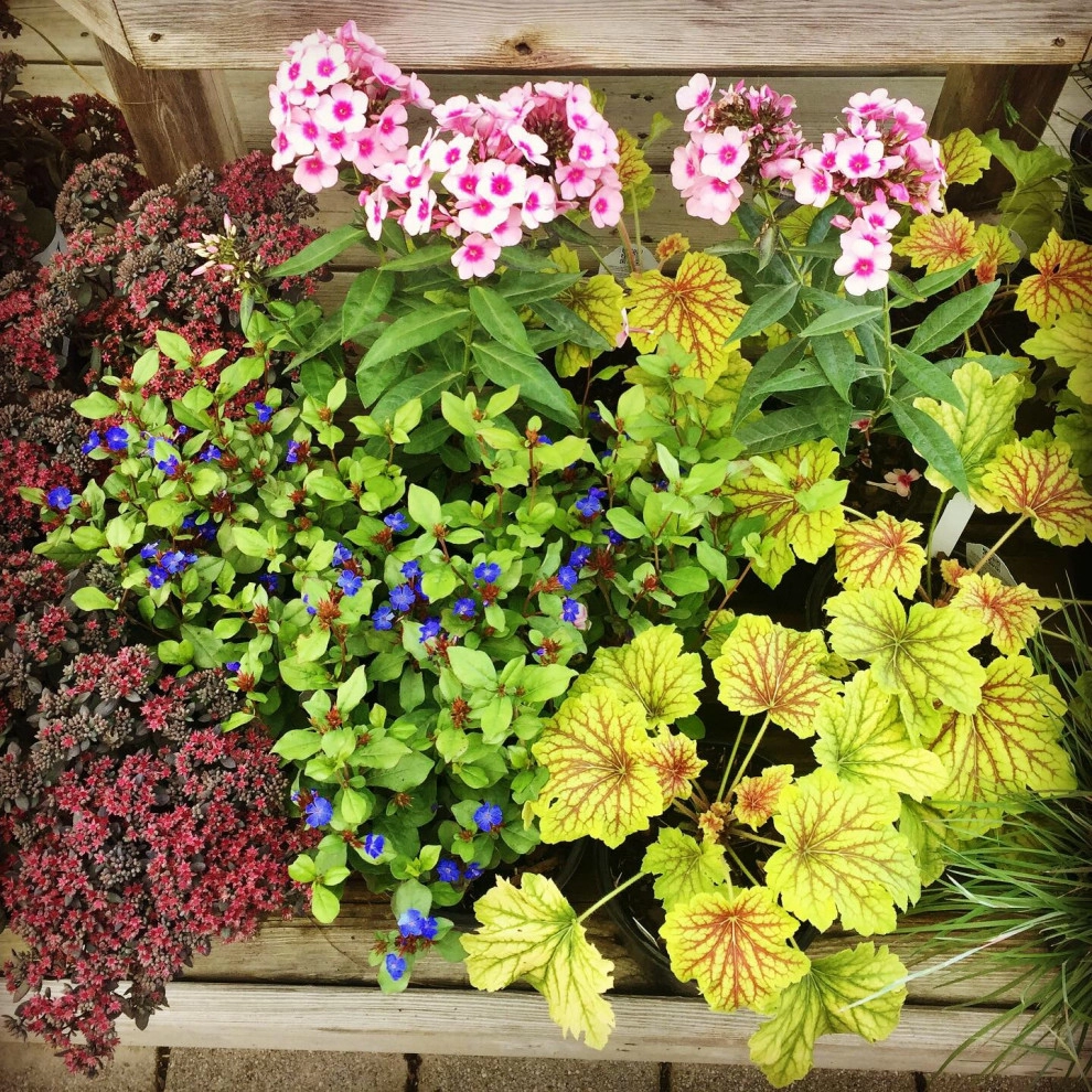 Containers and ideas by Whispering Hills Garden & Landscape Design Center - Photo 25