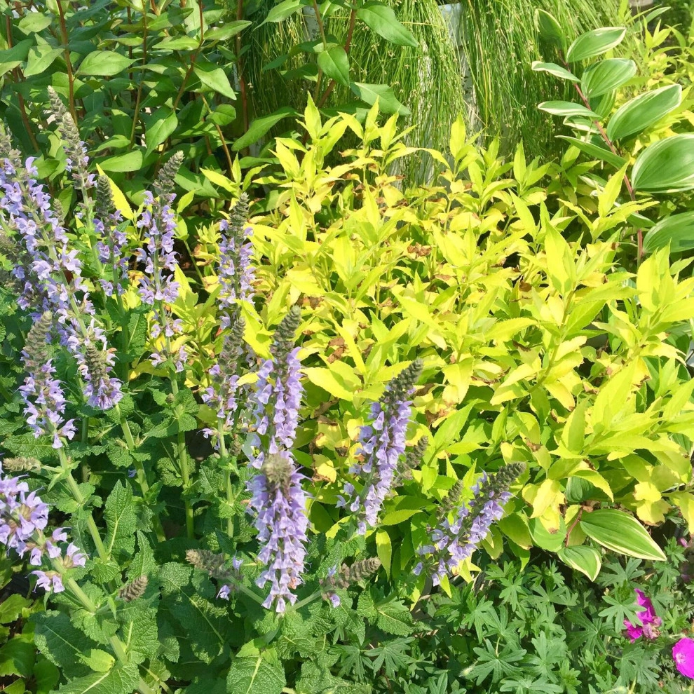 Containers and ideas by Whispering Hills Garden & Landscape Design Center - Photo 14