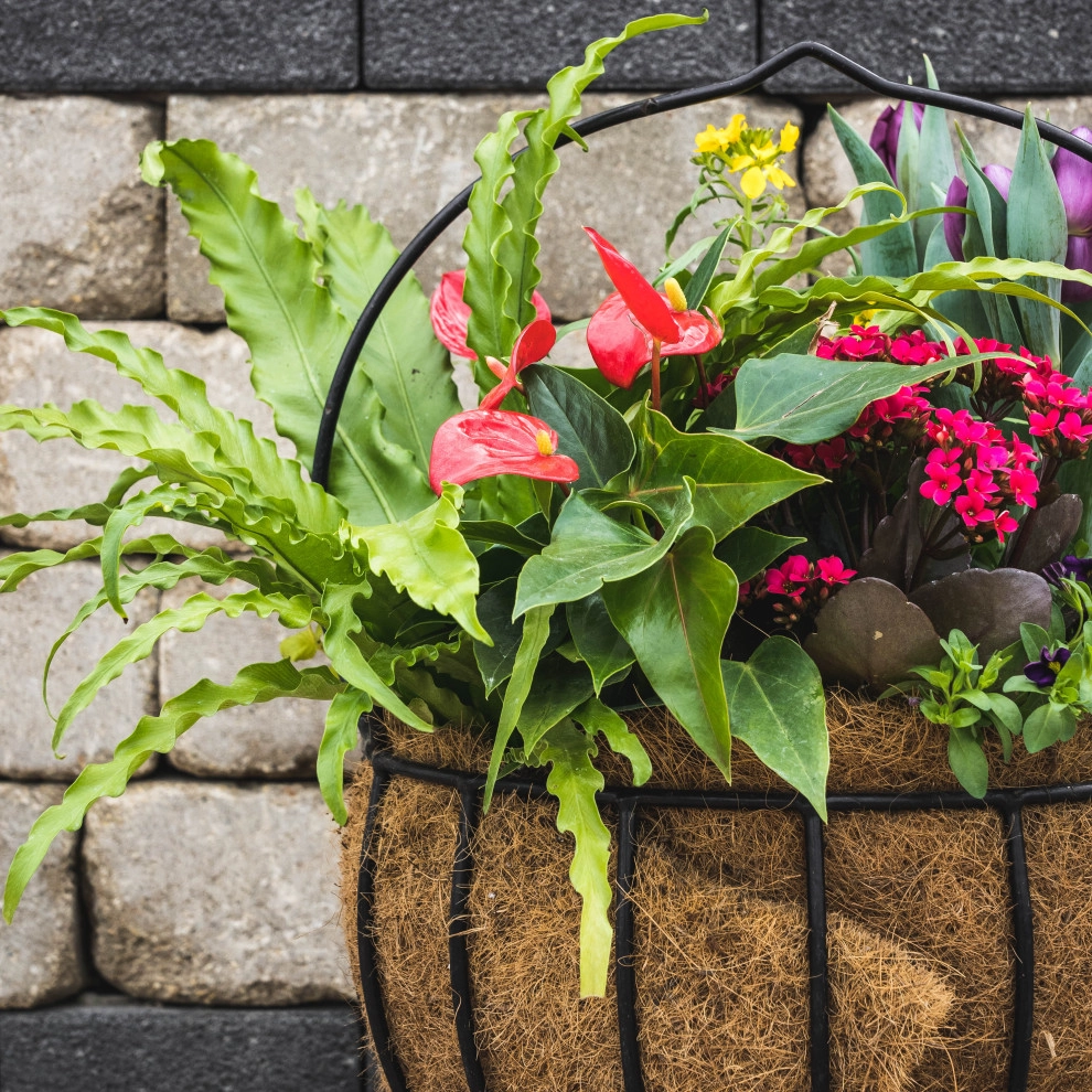 Containers and ideas by Whispering Hills Garden & Landscape Design Center - Photo 5