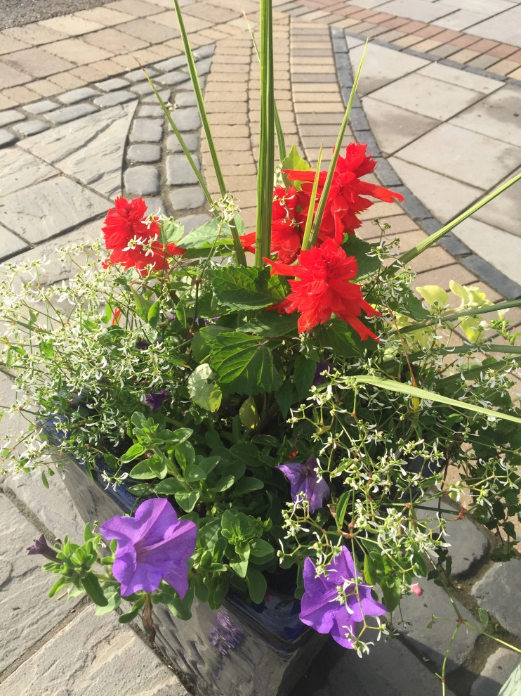 Containers and ideas by Whispering Hills Garden & Landscape Design Center - Photo 19