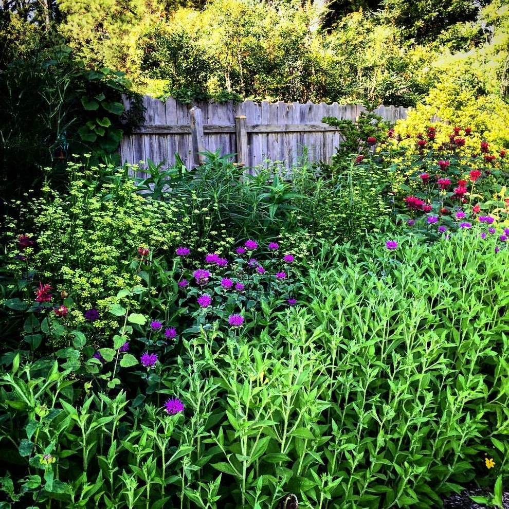 Alanton, Virginia Beach by Wild Works Of Whimsy, LLC - Photo 5