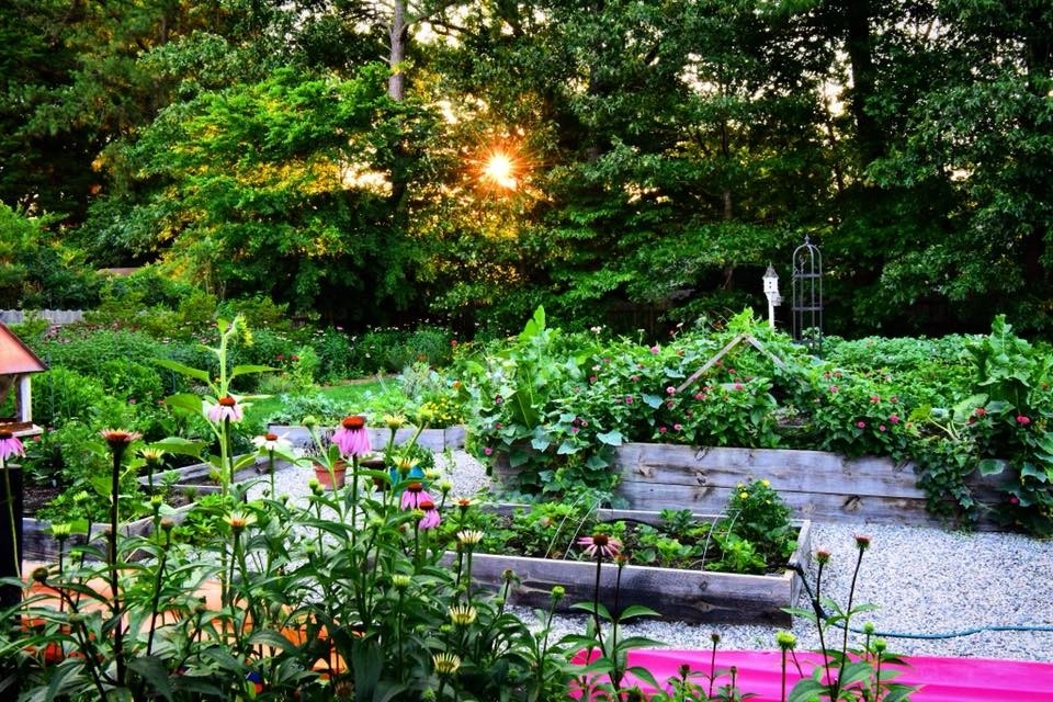 Alanton, Virginia Beach by Wild Works Of Whimsy, LLC - Photo 3