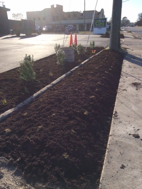 Virginia Beach Blvd Commercial by Wild Works Of Whimsy, LLC - Photo 4