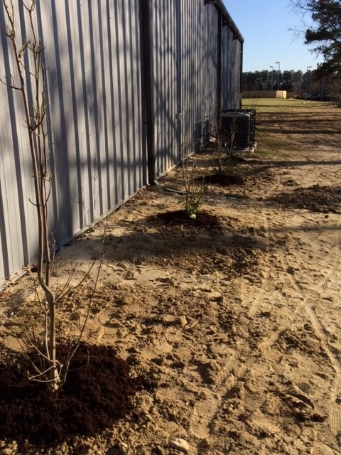 Virginia Beach Blvd Commercial by Wild Works Of Whimsy, LLC - Photo 11