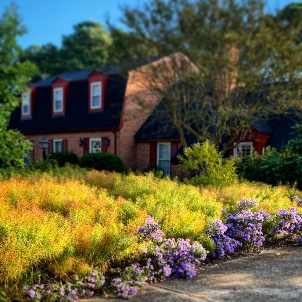 Alanton, Virginia Beach by Wild Works Of Whimsy, LLC - Photo 16
