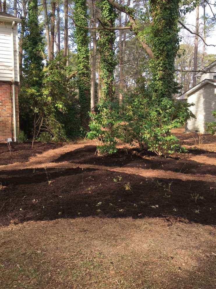 Little Neck Wooded Site by Wild Works Of Whimsy, LLC - Photo 8