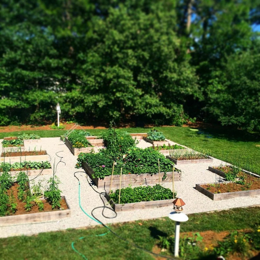 Alanton, Virginia Beach by Wild Works Of Whimsy, LLC - Photo 12