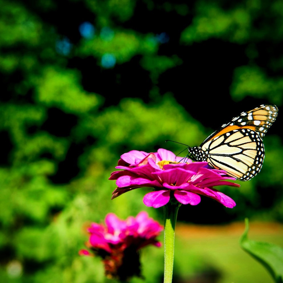 Alanton, Virginia Beach by Wild Works Of Whimsy, LLC - Photo 8