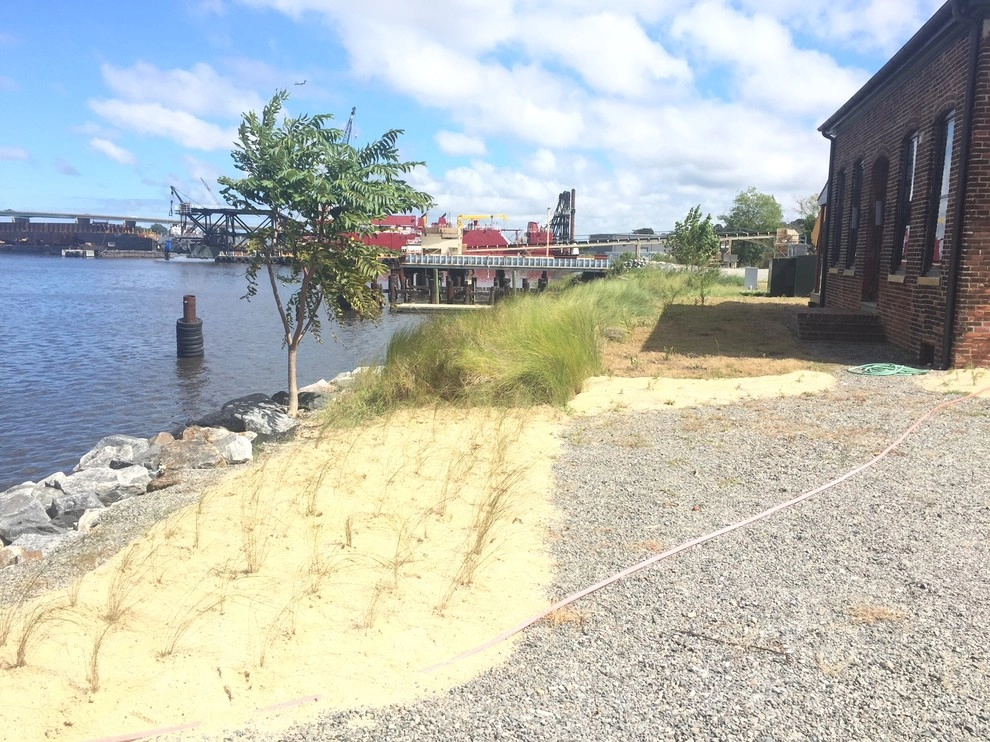Norfolk Tug Co. by Wild Works Of Whimsy, LLC - Photo 6