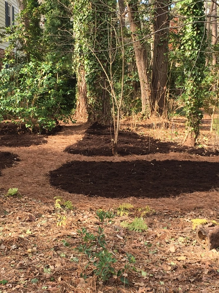 Little Neck Wooded Site by Wild Works Of Whimsy, LLC - Photo 5