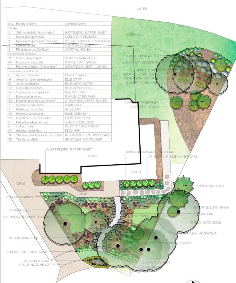 Chesapeake Wooded Frontyard by Wild Works Of Whimsy, LLC - Photo 2