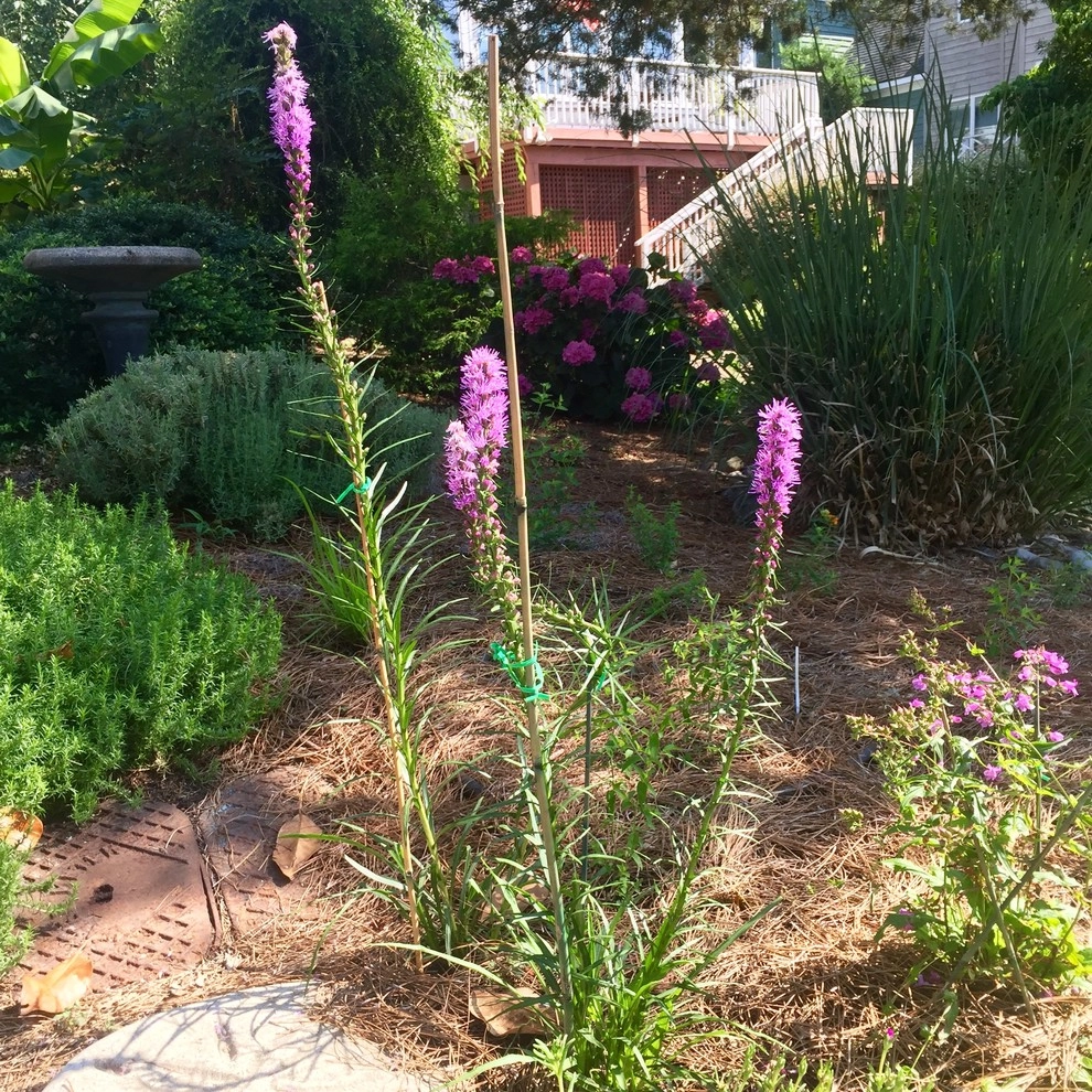 Narrow Oceanfront Lot by Wild Works Of Whimsy, LLC - Photo 5