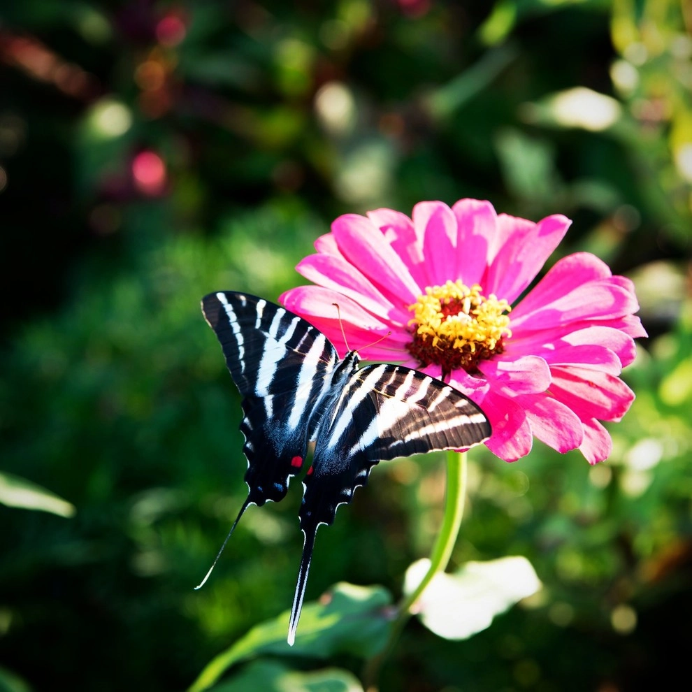 Alanton, Virginia Beach by Wild Works Of Whimsy, LLC - Photo 19