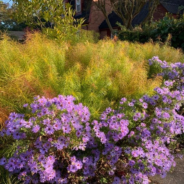Alanton, Virginia Beach by Wild Works Of Whimsy, LLC - Photo 17
