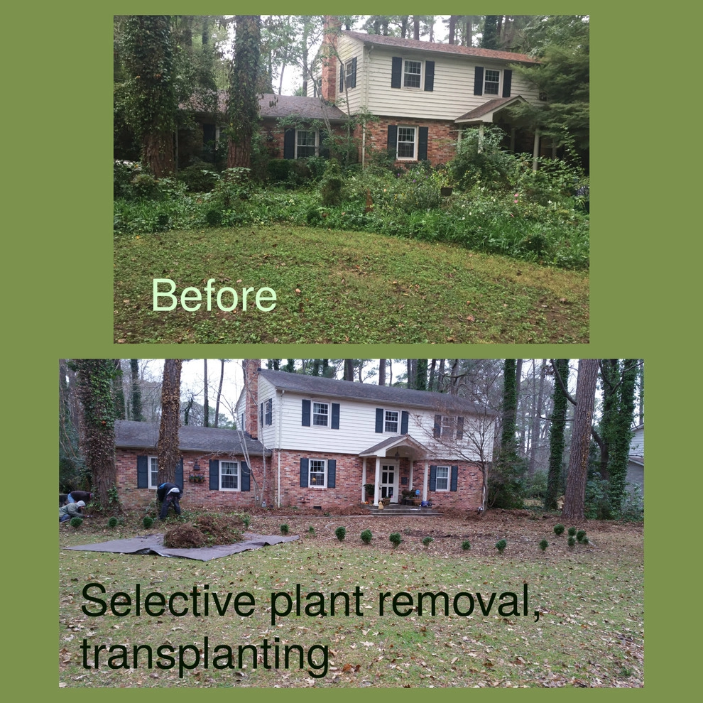 Little Neck Wooded Site by Wild Works Of Whimsy, LLC - Photo 9