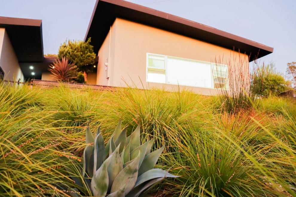 Minimalist Meadow by Wildwood Landscapes + Design - Photo 8