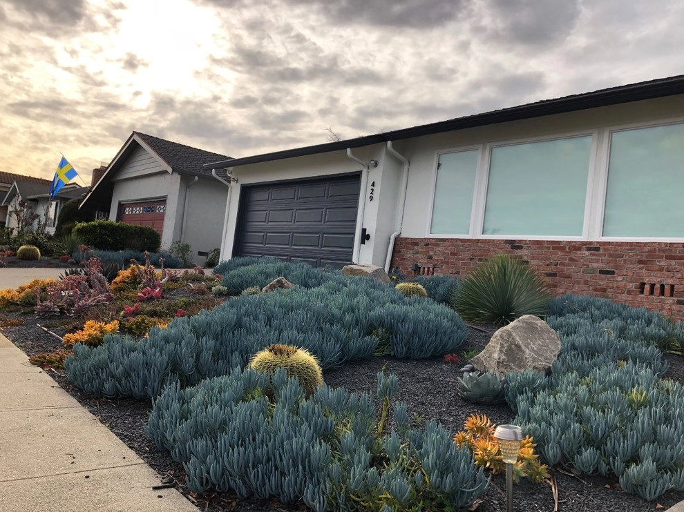 Dry Rivers by Wildwood Landscapes + Design - Photo 3