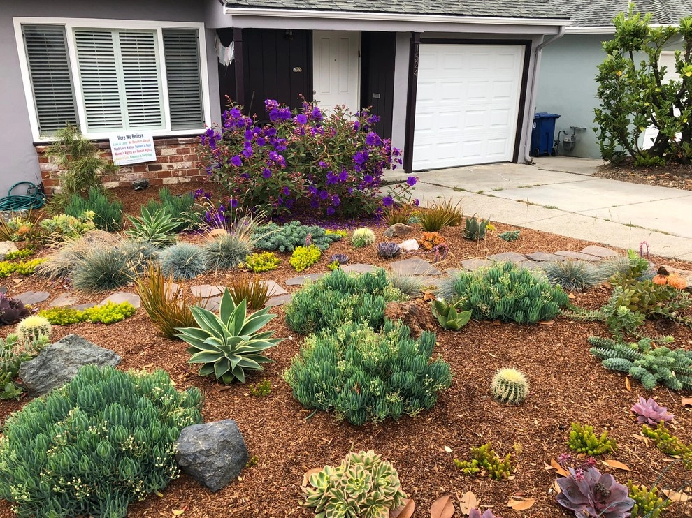 Succulent Paradise by Wildwood Landscapes + Design - Photo 2