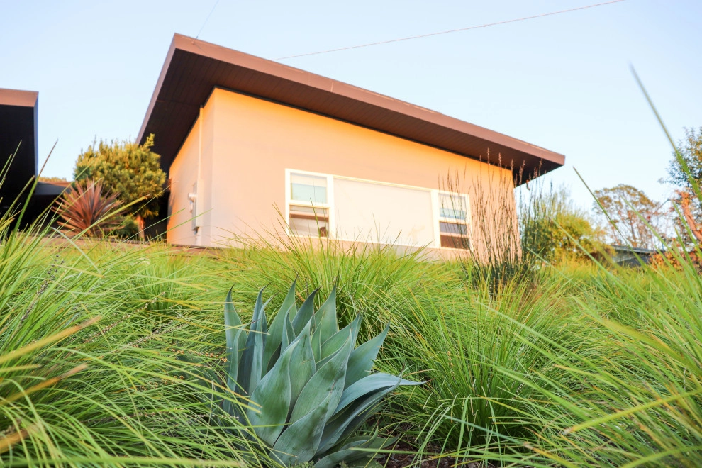 Minimalist Meadow by Wildwood Landscapes + Design - Photo 9