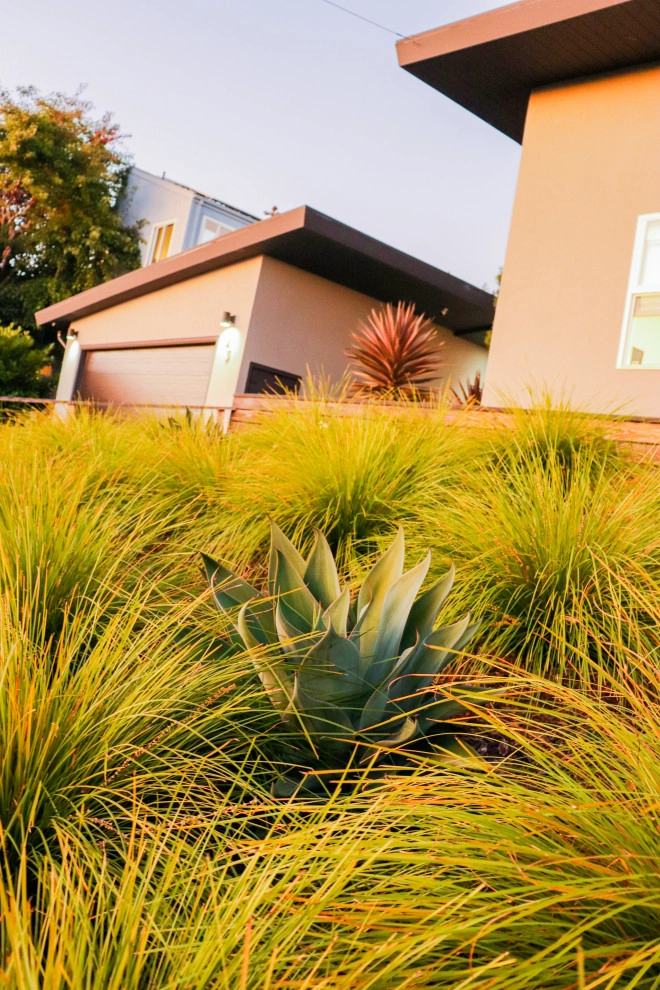 Minimalist Meadow by Wildwood Landscapes + Design - Photo 5